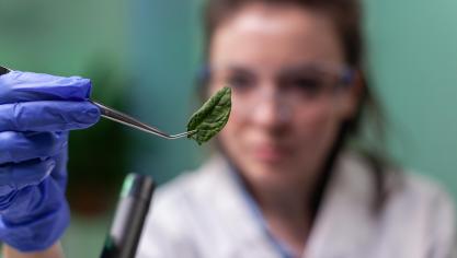 Cet accord doit désormais être approuvé une dernière fois par le Parlement européen et les États membres, pour entrer en vigueur.