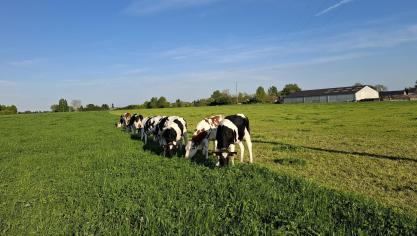 Valoriser l’herbe de ses prairies, c’est la considérer comme un flux permanent et variable.