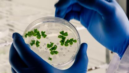 L’accord doit désormais recevoir l’aval des colégislateurs et en particulier du parlement lors d’un vote potentiellement en mars qui promet d’être serré.