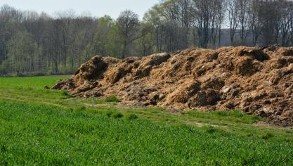 Le stockage du fumier au champ est régi par certaines règles, notamment en matière de localisation.