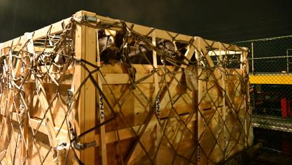 Concernant le transit d'animaux vivants, il s'agit principalement d'animaux destinés au sport, à la reproduction ou à l'exportation, notamment plus de 3.000 vaches gestantes parties ces dernières semaines.