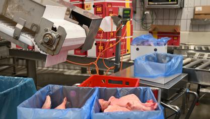 Le marché chinois demeure économiquement important pour le secteur de la viande porcine.