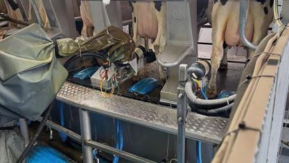 Ces robots appliquent les produits d’hygiène mamelle sur chaque trayon ce qui garantit une désinfection complète.