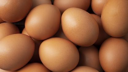 Les prix des bovins (+26%) et des œufs (+23%) ont flambé.