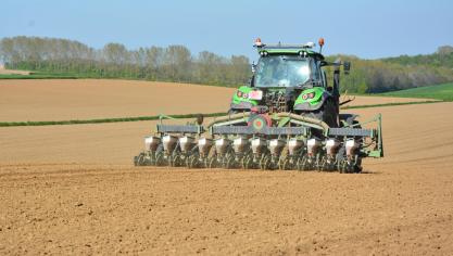 Vu les conditions favorables, la sole betteravière était semée à 90 % fin mars. Un situation en total contraste  par rapport à 2024.