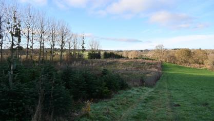 Parmi les six motifs d’opposition à la cession privilégiée, deux concernent la notification d’un congé.