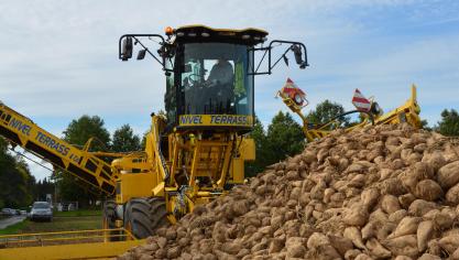 La filière betteravière est fortement touchée, avec une rémunération  des producteurs estimées  en chute libre (-30,5 %).