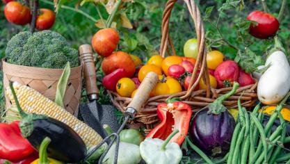 Parmi les destinations hors UE, le programme de promotion 2026 devrait cibler des régions et des pays présentant un fort potentiel de croissance pour les produits  agroalimentaires européens.