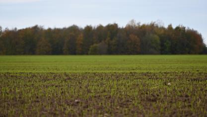 En Europe, la durée de la procédure d’homologation des produits de biostimulation ou de biocontrôle est deux à trois fois plus longue que dans d’autres pays.