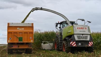 Le bouquet variétal, pour le printemps prochain, associera des variétés  nouvelles aux valeurs sûres, afin de profiter des progrès de la génétique.
