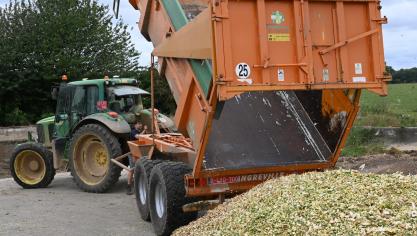 A la récolte, une teneur en matière sèche optimale comprise entre 32 et 36 % doit  être visée en vue, notamment, d’assurer la bonne conservation du silo.
