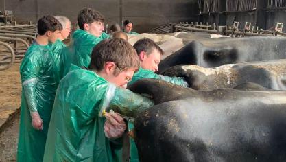 Le comité a organisé des tables rondes pour que vétérinaires praticiens  et étudiants puissent se rencontrer  et partager leurs préoccupations  sur leurs futures carrières.