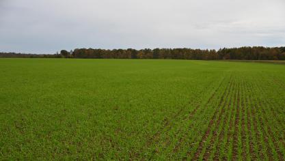 Le bail de carrière se prolongera, depuis sa prise de cours, jusqu’à l’atteinte, par le preneur, de l’âge légal de la pension. Dans le cas de plusieurs preneurs, la durée du bail est calculée sur base de l’âge du copreneur le moins âgé.