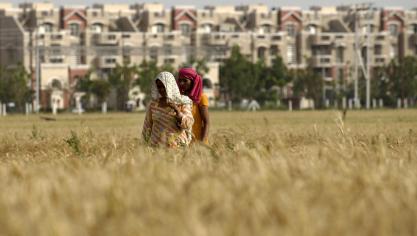 Pour le Copa-Cogeca, l'accord UE-Inde montre qu'une politique commerciale ambitieuse peut être compatible avec la protection de secteurs agricoles sensibles.