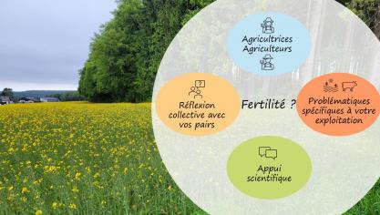 Le projet s’articule autour de quatre piliers.