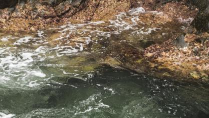 Ces services sont principalement liés à la gestion des déchets et à la gestion des eaux usées.