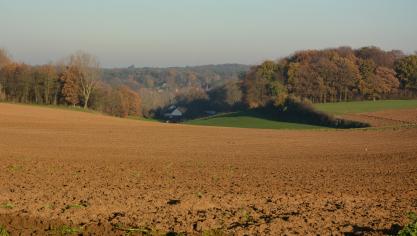 Les prix des terres ont grimpé de plus  de 6 % en un an, selon les derniers chiffres livrés par Eurostat.