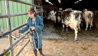 Les vaches ne connaissent ni les marchés mondiaux ni les contrats à six mois.  Elles doivent être traites, nourries, soignées, tous les jours, sans exception.