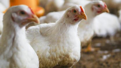 Les textes, très attendus par les professionnels  du secteur, entreront en vigueur le 9 mars.