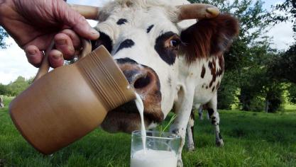 C’est en juillet que s’est amorcée une forte augmentation de la production moyenne.