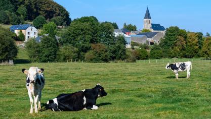 La province de  Luxembourg se  caractérise par  une constellation de petites centralités,  de bourgs, de villages dispersés entre vallées  et plateaux.