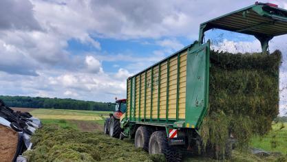 Fourrage Mieux s’est intéressé à deux types de produits: un mélange de bactéries homolactiques et un mélange de bactéries homolactiques et hétérolactiques.