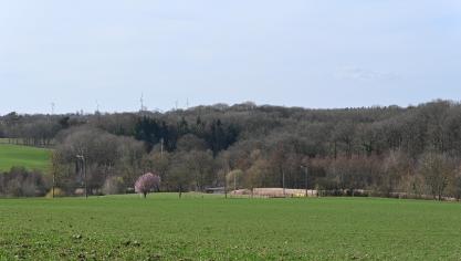 Le calcul du fermage d’une terre se construit sur base du revenu cadastral multiplié par un coefficient, propre à chaque région agricole et annuellement modifié.