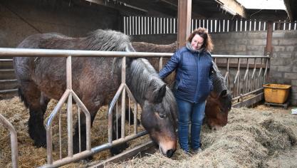 Passionnée par les chevaux depuis de nombreuses années, Karine élevait initialement des chevaux de sport avant de se tourner vers le Trait belge.