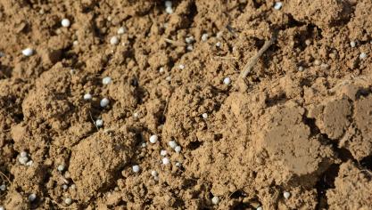 Le conseil moyen qui est proposé doit être considéré comme un repère, insiste l’Irbab.