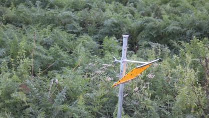 Les espèces animales comme les insectes sont soumises à des équilibres biologiques. Les auxiliaires sont déterminants et le maraîcher peut agir pour favoriser leur présence sur place presque en permanence.