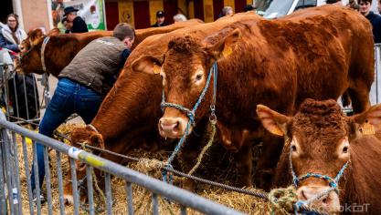 Le temps d’une journée, Le Semeur transforme Louvain-la-Neuve  en une véritable foire agricole.