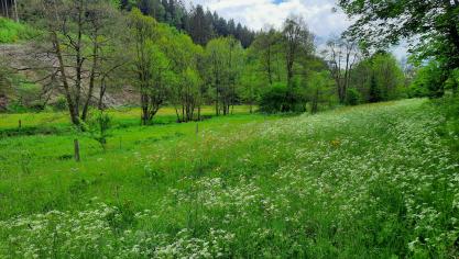 L’édition 2022 du concours avait été remportée par un duo d’agricultrices, Elena et Simone Theissen.
