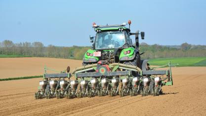 Les semis prendront leur envol à la faveur d’une météo printanière.