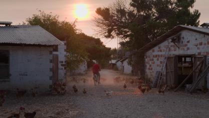 A la tête de la Ferme avicole  des Grands Champs, Etienne Godart  vit, en réalité, pour une autre passion...