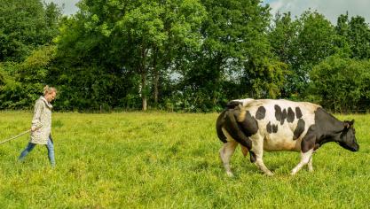L’élevage européen est pris dans une équation qu’aucune solution simple ne permet de résoudre.