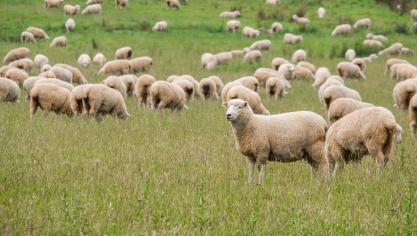 AdobeStock_194794838