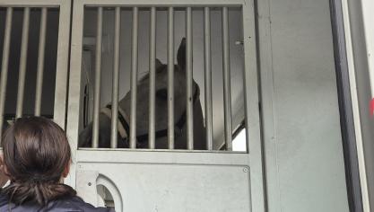 Cet assouplissement est possible grâce à la situation sanitaire stable dans les trois pays.