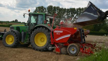 Les densités de plantation seront adaptées en cas de recours à des plants coupés.