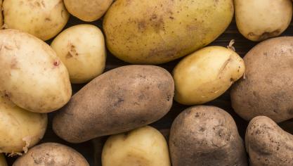 La Bourse aux dons ciblera aussi les cuisines de collectivité.