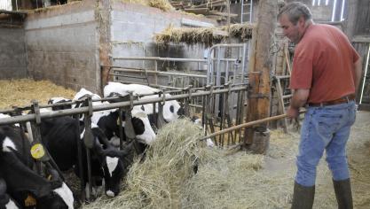 L’agriculture européenne joue également un rôle central dans la bioéconomie,  la transition énergétique ou la gestion des territoires ruraux.