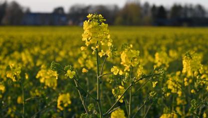 Dans le cas d’indemnité de sortie, il revient au preneur de prouver sa contribution  à l’amélioration de la qualité du sol de la parcelle. Un état des lieux d’entrée reste  le moyen le plus sûr d’y parvenir.