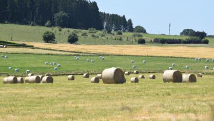 Les élus mettent en garde contre toute tentation de renationalisation du budget européen.