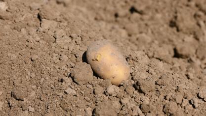 À 2,61 millions de tonnes au 1er avril, les stocks dépassent de 800.000 t ceux de l’an dernier, atteignant un niveau inédit.