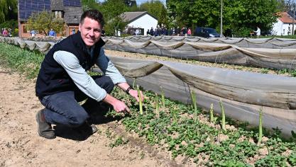 C’est en cherchant à se diversifier que la famille de Paul-Henri Noël  opté pour ce légume.