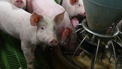 Le secteur poursuit par ailleurs ses efforts en matière d'innovation et de durabilité.