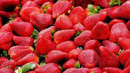 robertobarresi-strawberries-99551