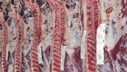 Cet accès aux données permettra de faciliter leur consultation par les éleveurs et contribuera à une meilleure transparence dans la filière bovine.