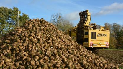 Le perfectionnement actif est un mécanisme douanier européen qui permet d’importer du sucre brut de canne en provenance de pays tiers sans payer de droits de douane, afin de le transformer dans l’UE.