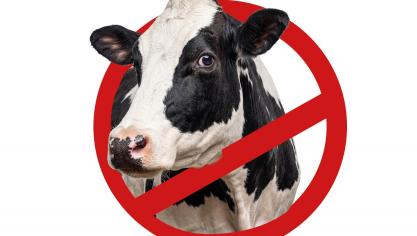 cowbuster (2)