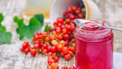 AdobeStock_235913324